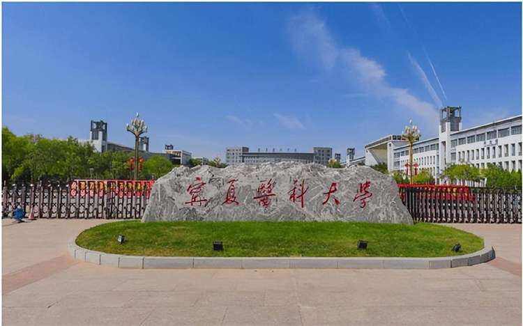 2021 Ningxia Medical University Prospectus for International Students 2021年宁夏医科大学来华留学生招生简章