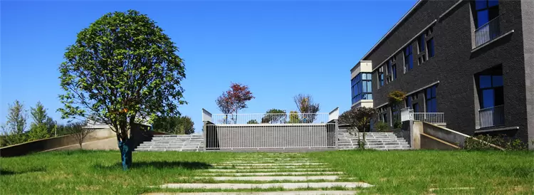 2022 Xian Academy of Fine Arts International Student Enrollment Brochure 2022年西安美术学院留学生招生简章