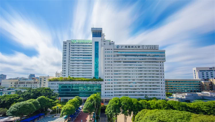 2022 Guangxi Medical University undergraduate enrollment Prospectus 2022年广西医科大学本科生招生简章