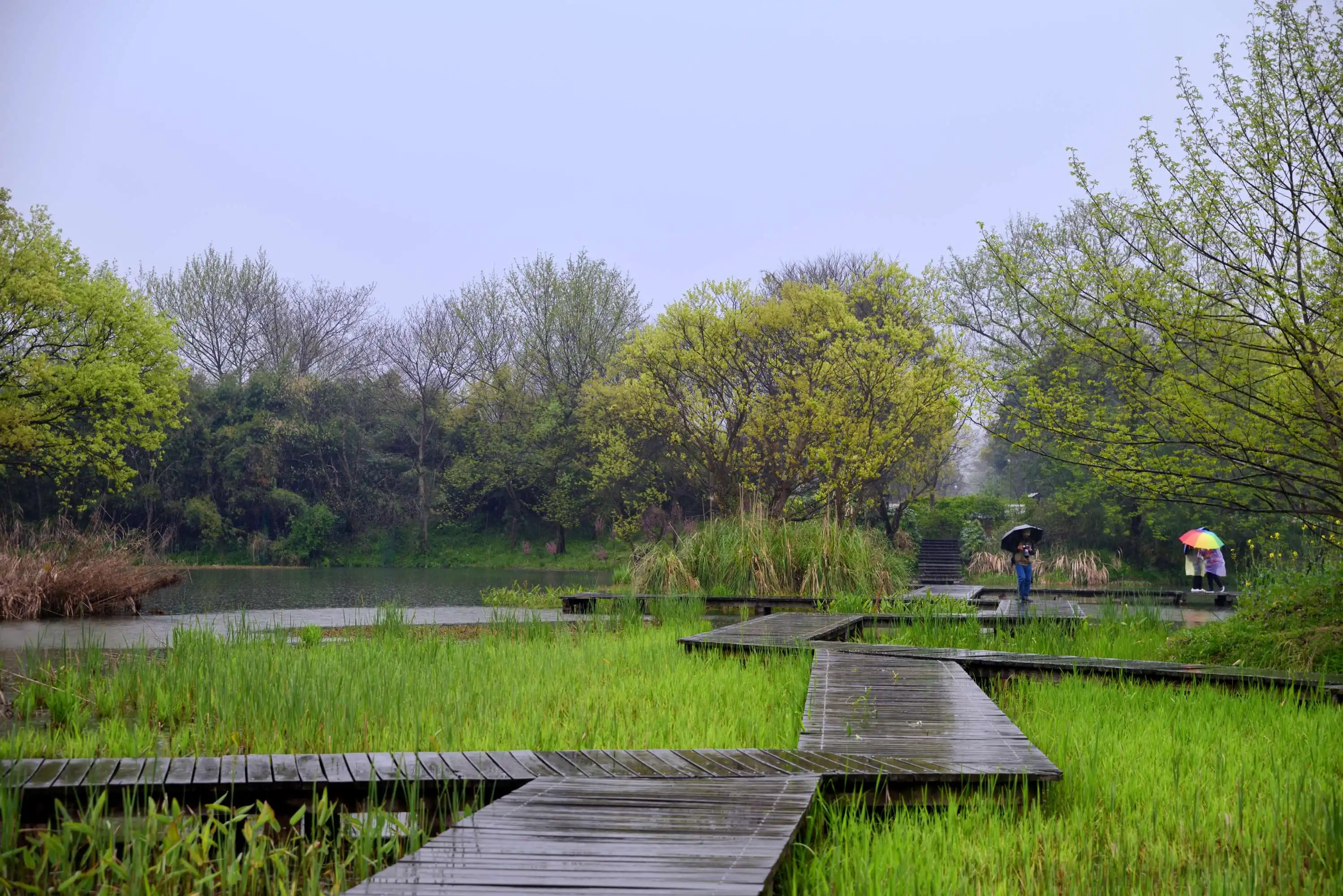 Wetland Botanical Garden西溪湿地植物园