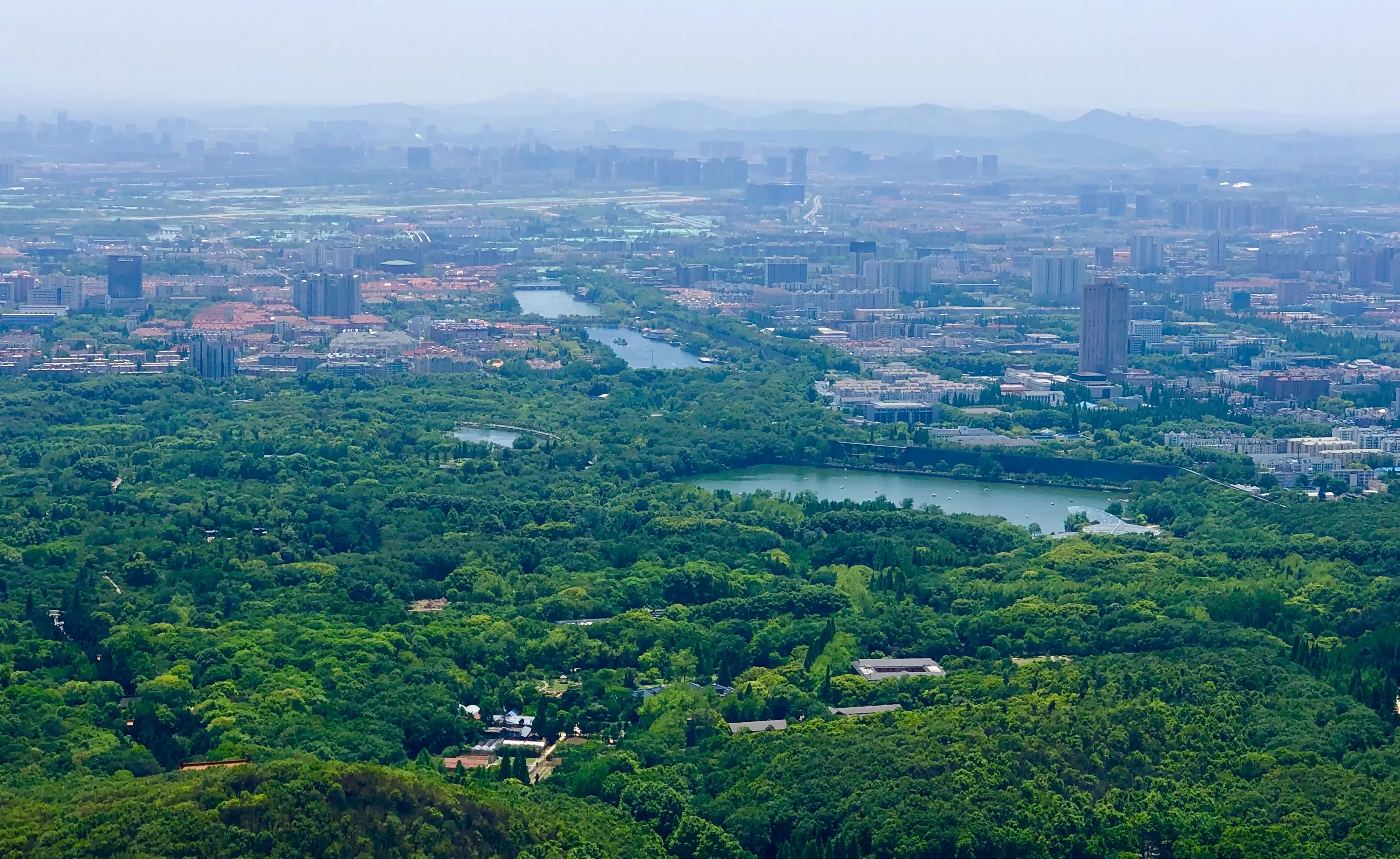 Purple Mountain 钟山