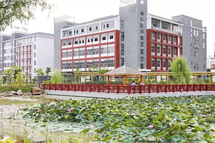 2023 Youjiang Medical University for Nationalities International Students Recruitment Brochure 2023年右江民族医学院国际学生招生简章