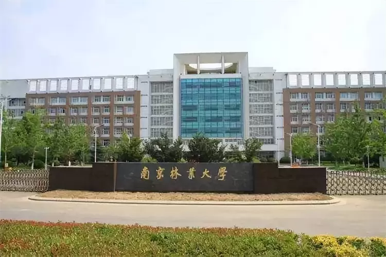 2024 Nanjing Forestry University Master Program for International Students Enrollment brochure