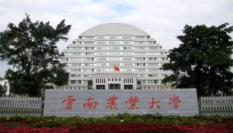 2024/2025 Yunnan Agricultural University foreign student Government Scholarship enrollment brochure 2024/2025学年度云南农业大学外国留学生云南省政府奖学金招生简章 WentChina 2024/2025 Yunnan Agricultural University foreign student Government Scholarship enrollment brochure 2024/2025学年度云南农业大学外国留学生云南省政府奖学金招生简章