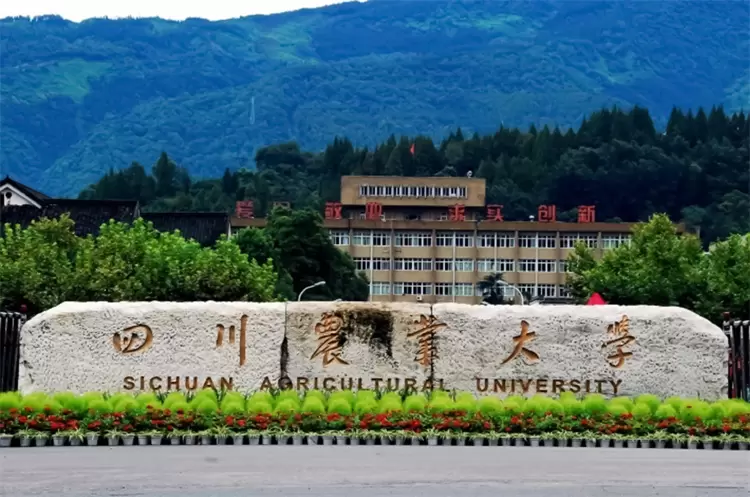 2024 Sichuan Agricultural University International students doctoral enrollment regulations 2024年四川农业大学国际学生博士研究生招生章程