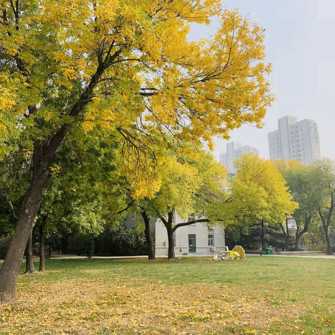 2024 Tianjin Academy of Fine Arts Prospectus for International Students