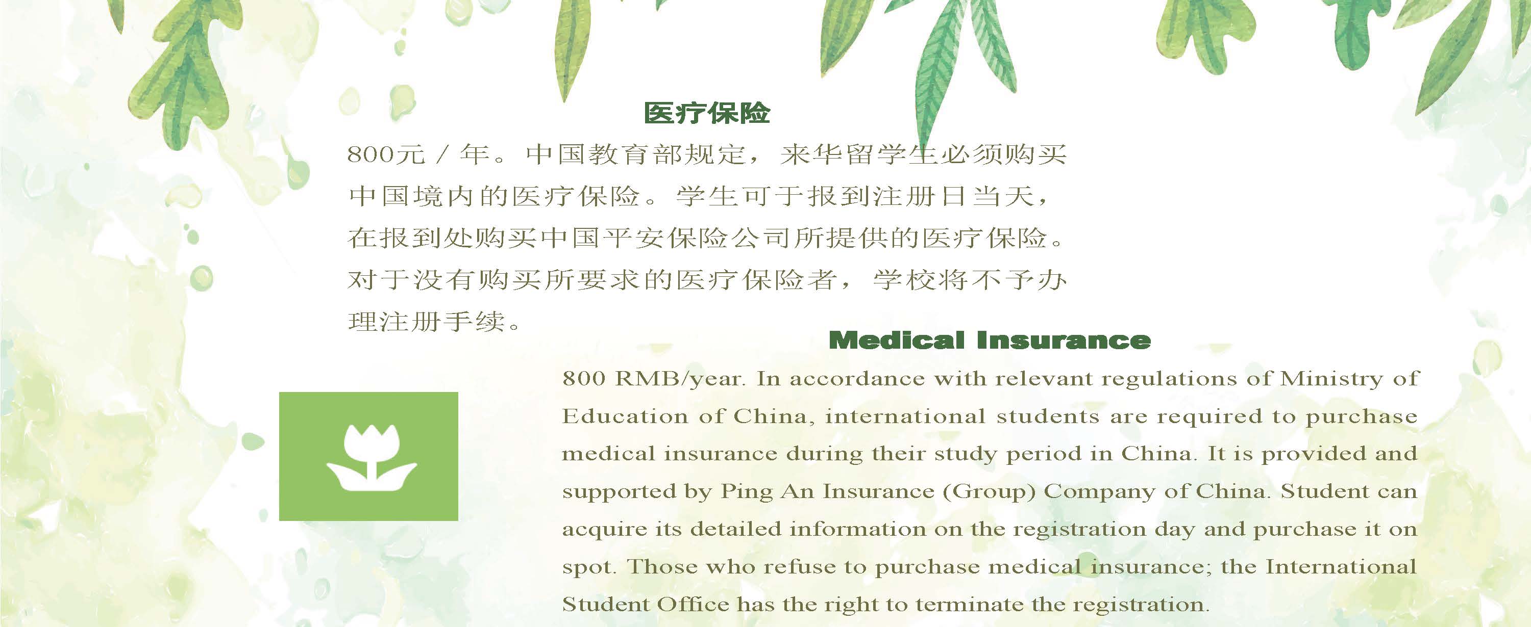 Study Phd in Beijing Forestry University 北京林业大学博士项目招生简章（2020年）