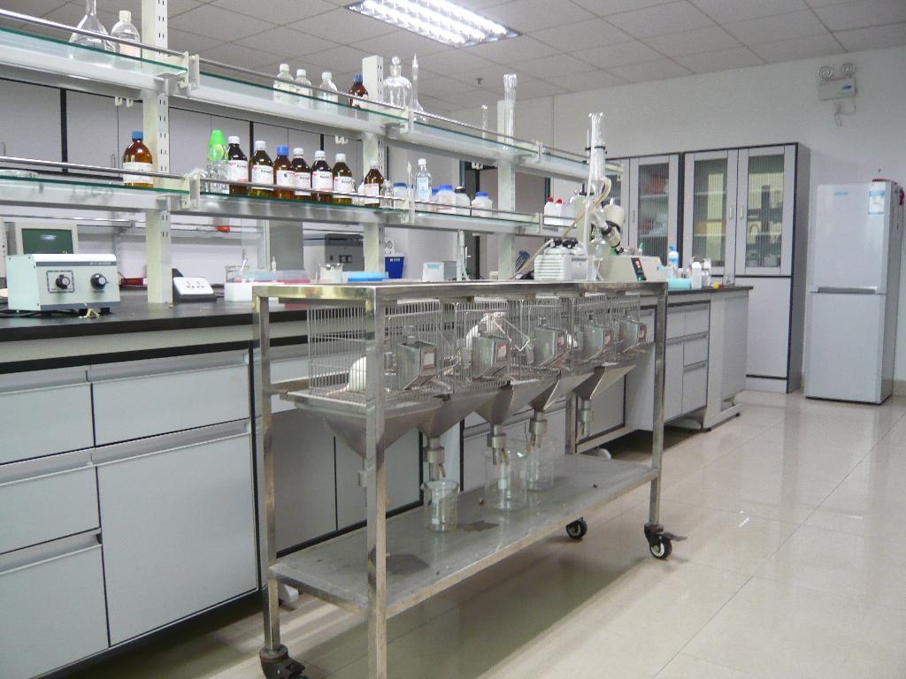 2024 Admission Guide for International Students Undergraduate Program at Guizhou Medical University