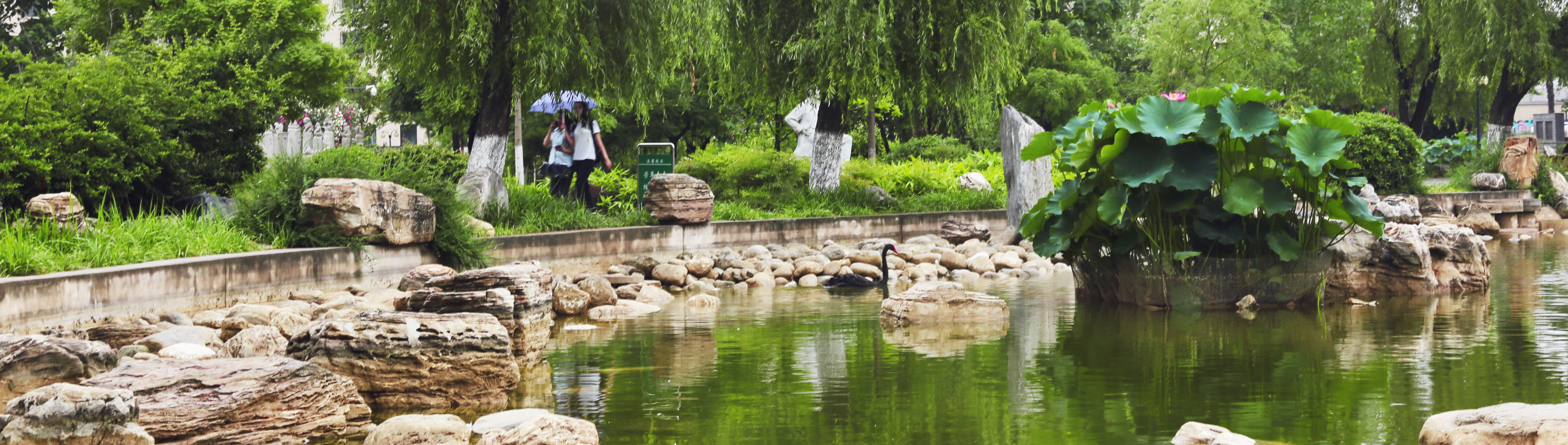 2024 Xian Academy of Fine Arts International Student Enrollment Brochure 2024年西安美术学院留学生招生简章