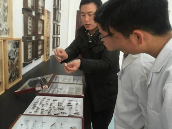 Anqing Normal University Short-term Study/Exchange Programs Admission Brochure (2024) 安庆师范大学 2024年短期来华学习/交流项目手册  