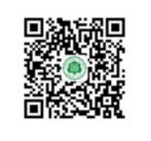 2022 Hainan Normal University Chinese Government Scholarship - China University Independent Enrollment Program Scholarship enrollment 2022年海南师范大学中国政府奖学金-中国高校自主招生项目奖学金招生