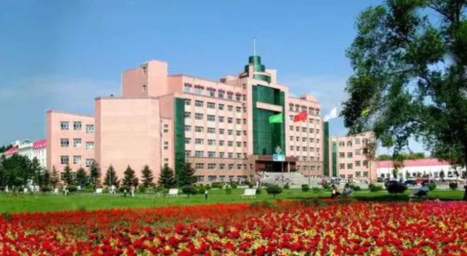 2024-2025 Recruiting Brochure of Heilongjiang Provincial Government Scholarships Program at Jiamusi University