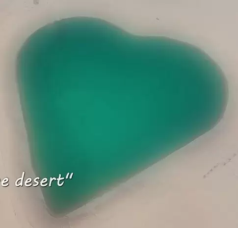 Charm Unveiled | “Heart of the desert” in North China