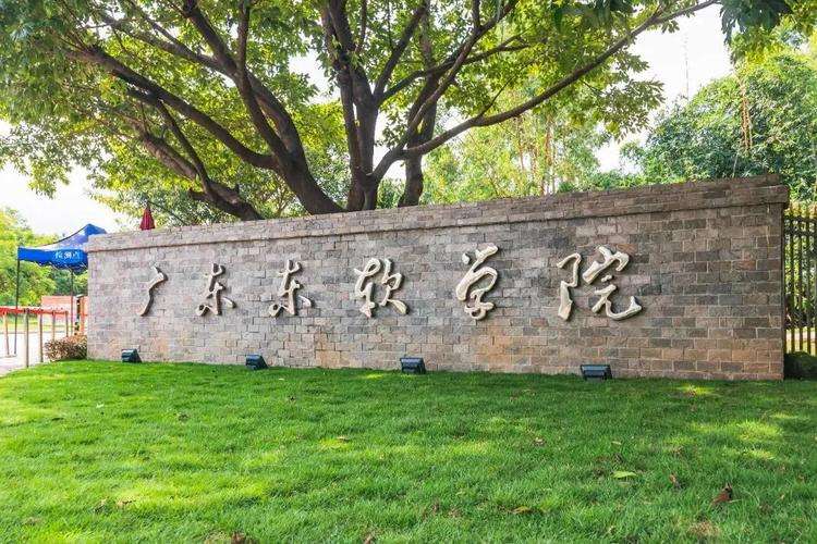 2024 Neusoft Institute Guangdong Degree Education (undergraduate) enrollment brochure