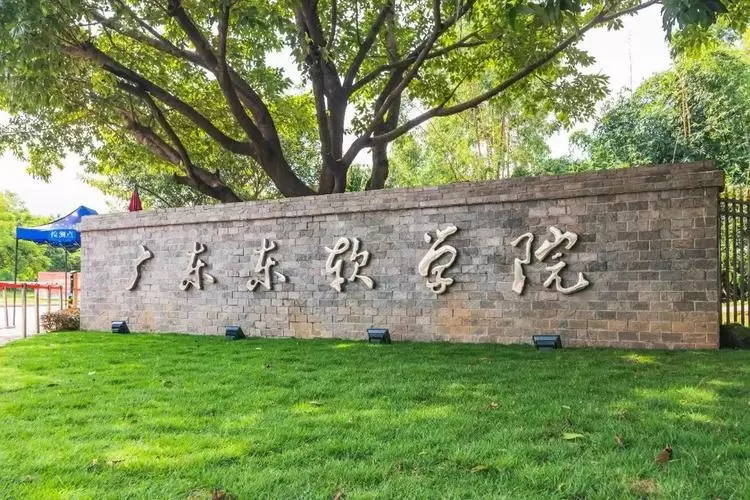 2024 Neusoft Institute Guangdong Degree Education (undergraduate) enrollment brochure