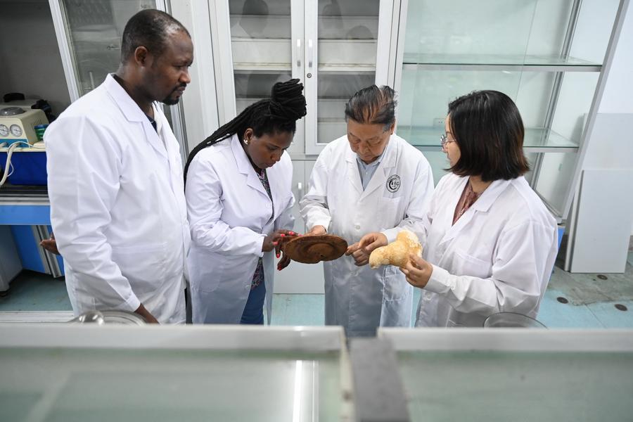 African doctoral student couple pursuing Juncao technology studies in Fujian
