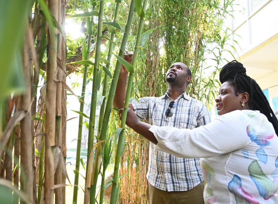 African doctoral student couple pursuing Juncao technology studies in Fujian