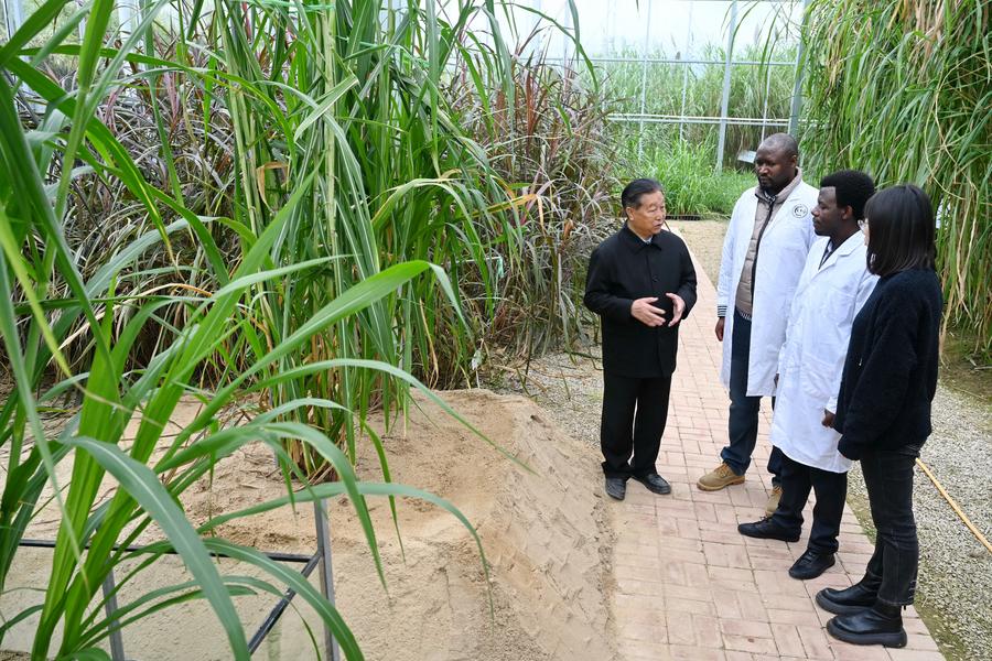African doctoral student couple pursuing Juncao technology studies in Fujian
