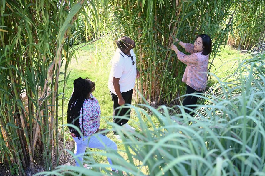 African doctoral student couple pursuing Juncao technology studies in Fujian