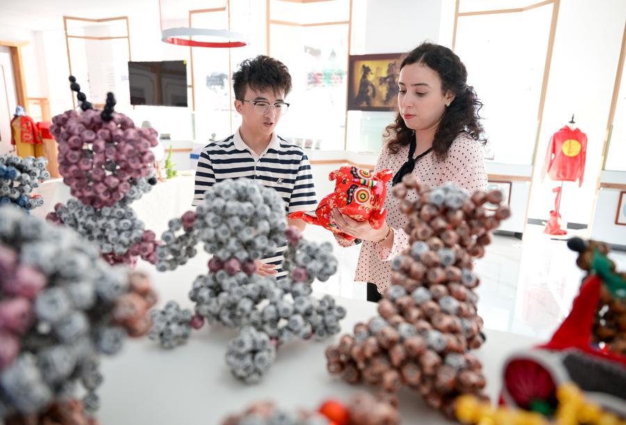 Foreign expert fascinated by Chinese culture