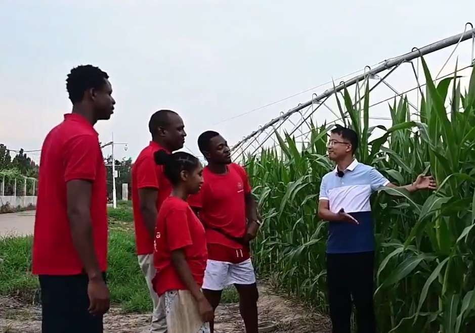 African student learns farming techniques in China’s Hebei