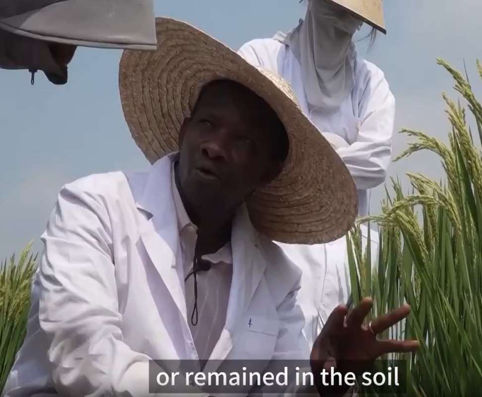 Tanzanian doctoral student cultivates agricultural expertise in NE China