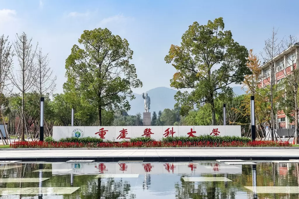 2025 Undergraduate Admission Prospectus of Chongqing Medical University