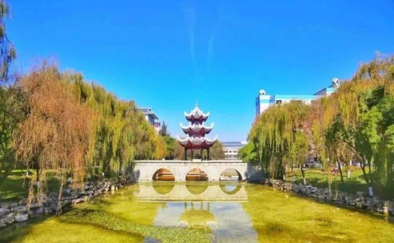 In Tsinghua, I collect a whole autumn for you