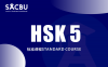 HSK 5 Complete Learning Materials and Past Exam Papers for Downloading