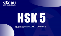 HSK 5 Complete Learning Materials and Past Exam Papers for Downloading