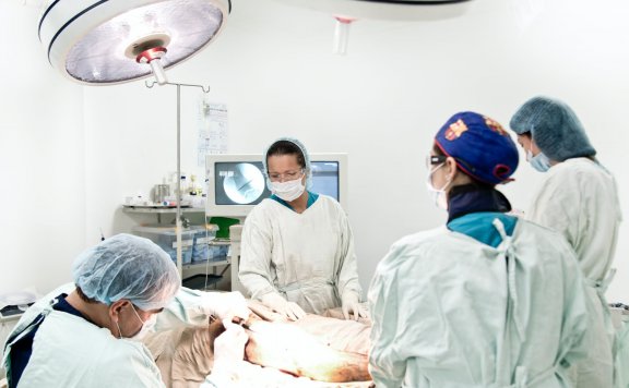 Best China Medical University Rank 2023