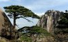 Mount Huangshan 黄山
