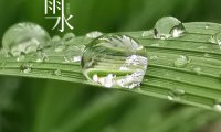 Yushui 雨水
