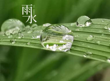Yushui 雨水