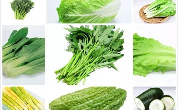 10 Favourate Chinese Vegetables, Which One You Like the Most?