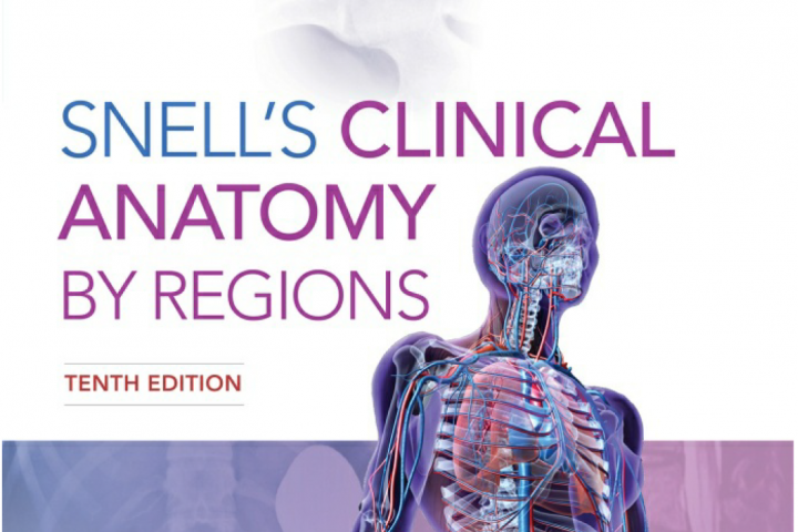 Snell's Clinical Anatomy By Regions 10th Edition: Course Materials ...