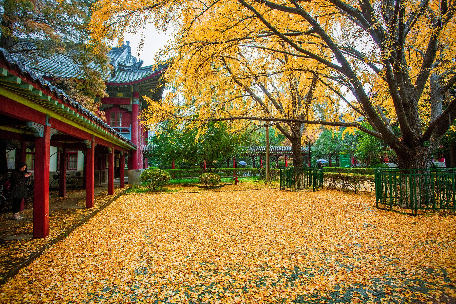 Nanjing Normal University 南京师范大学