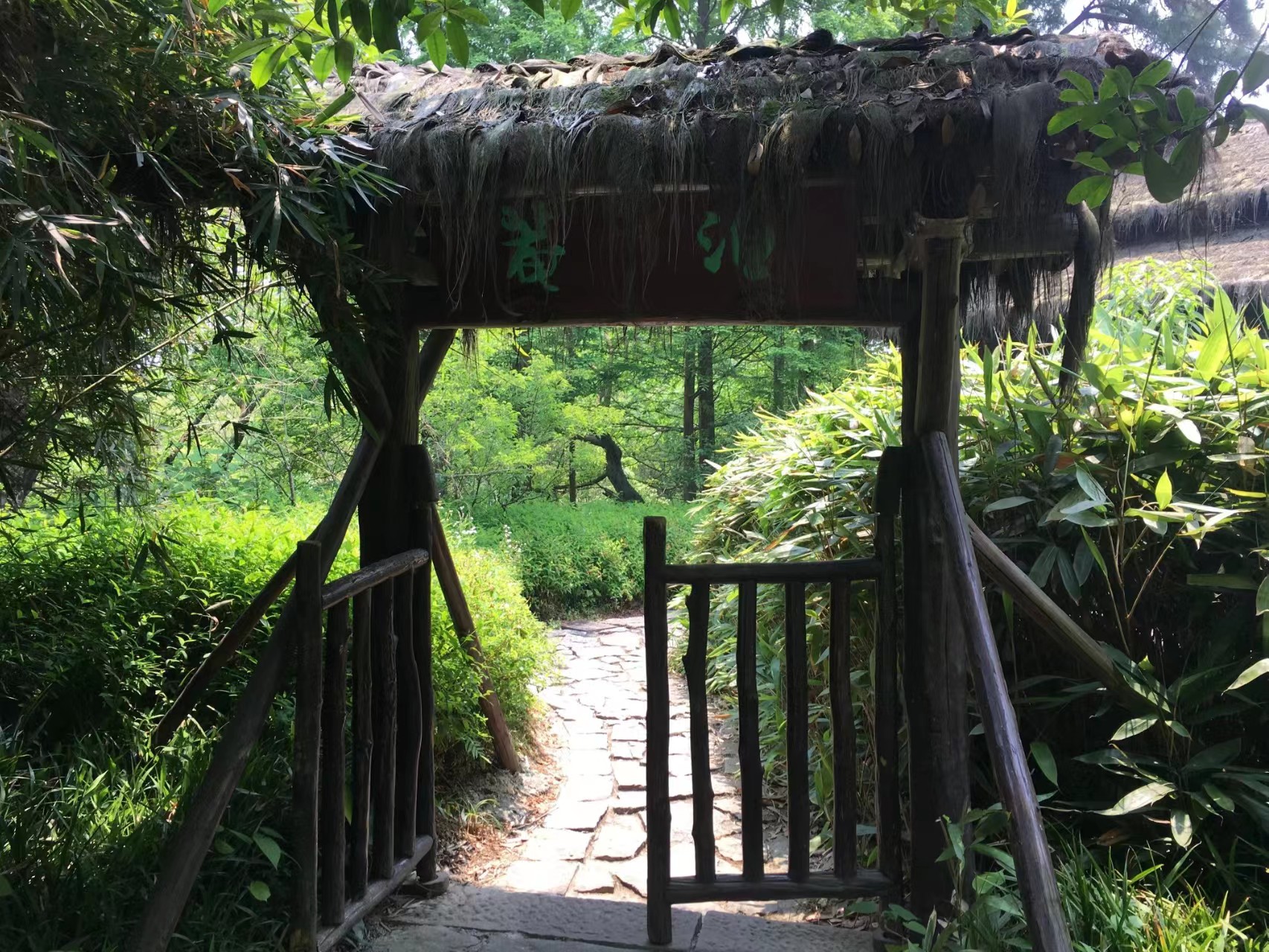 Xixi Wetland 西溪湿地