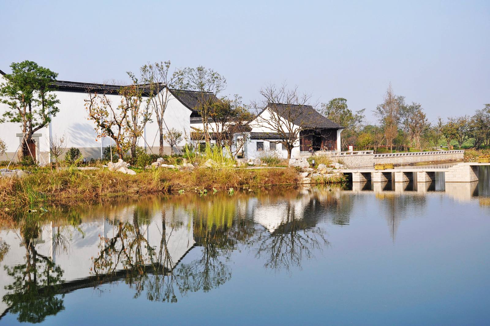 Xixi Wetland 西溪湿地