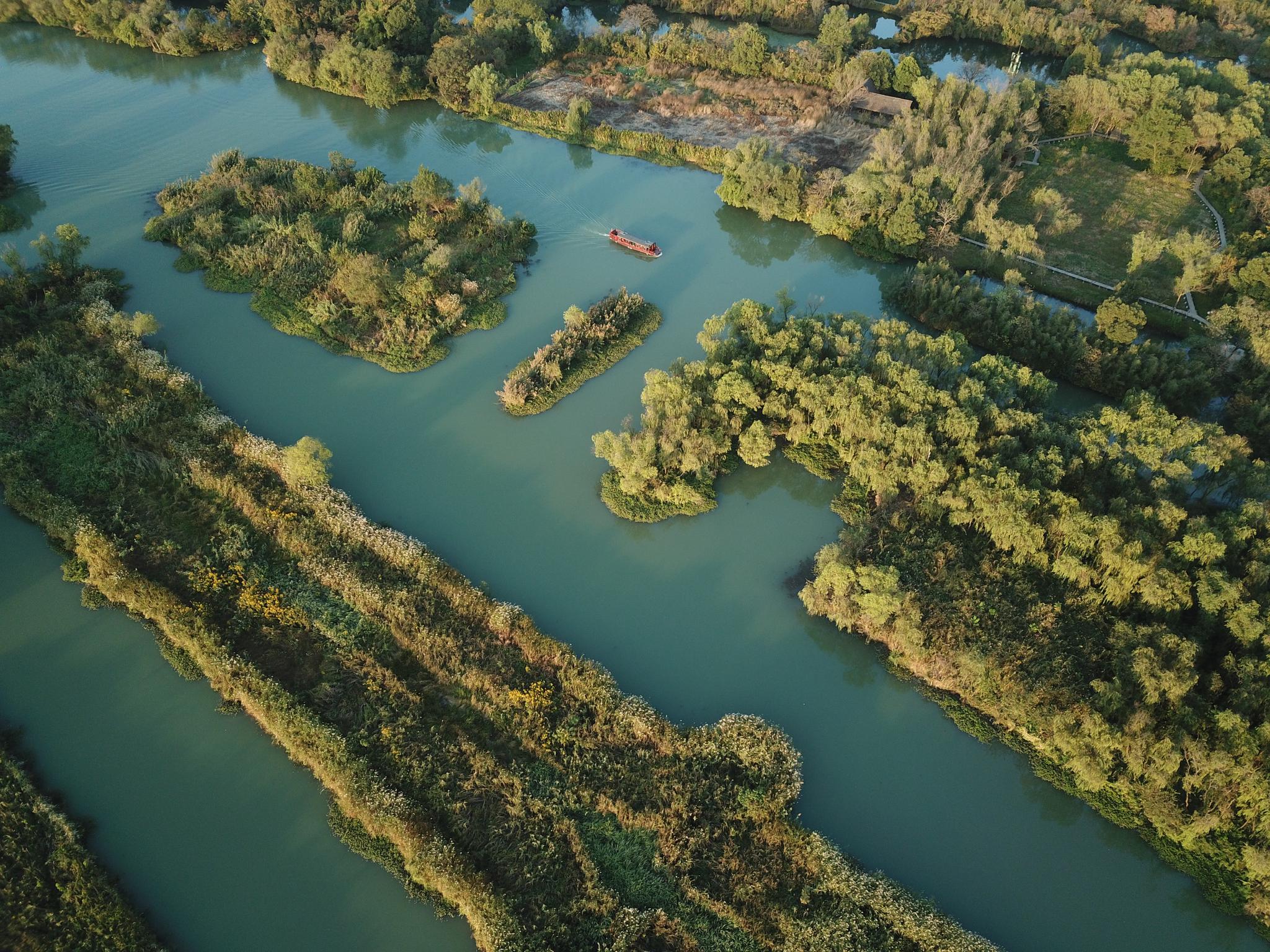 Xixi Wetland 西溪湿地