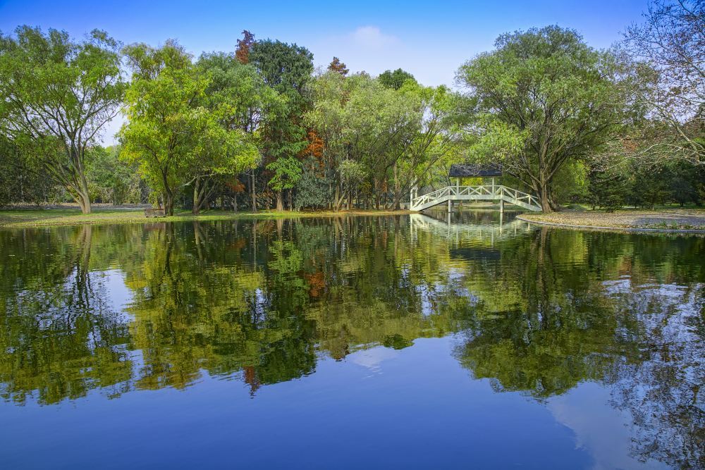 Xixi Wetland 西溪湿地