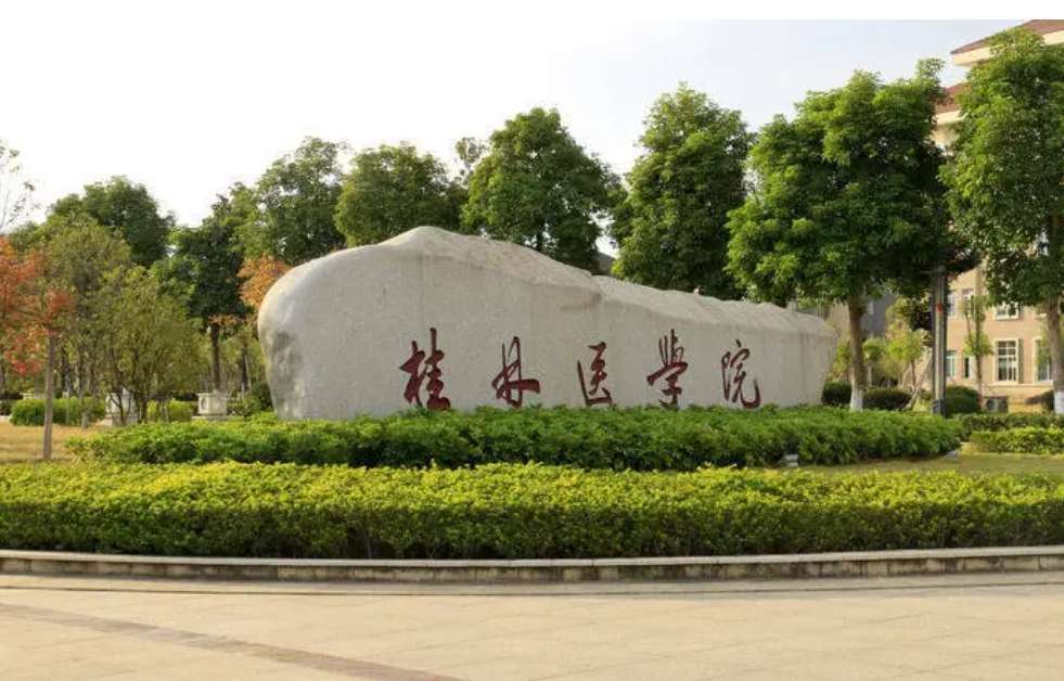 2024 Guilin Medical University Spring semester International students (master’s degree) enrollment brochure 2024年桂林医学院春季学期 来华留学生（硕士研究生）招生简章