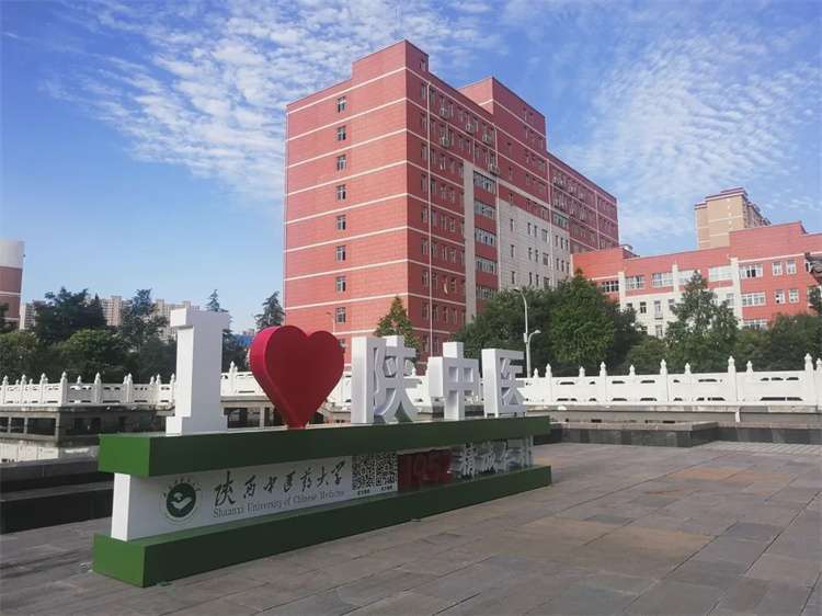 Shaanxi University of Chinese Medicine