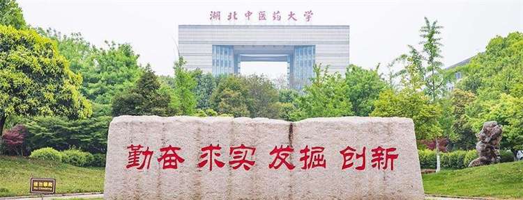 Hubei University of Chinese Medicine