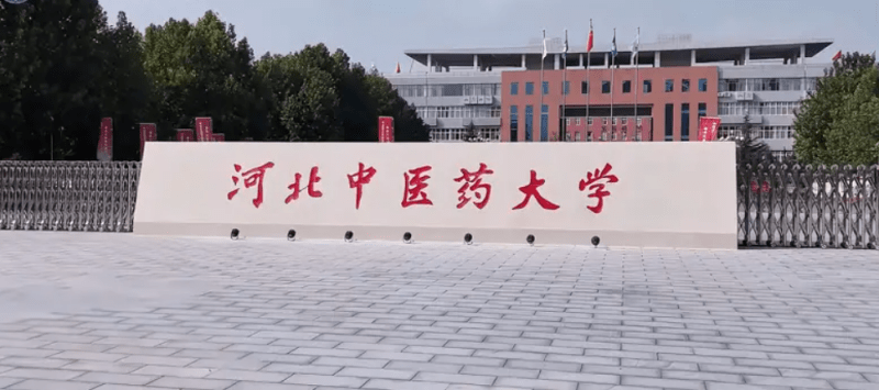 2024 Hebei University of Traditional Chinese Medicine International Chinese Teacher Scholarship Student recruitment brochure 2024年河北中医药大学国际中文教师奖学金研修生招生简章