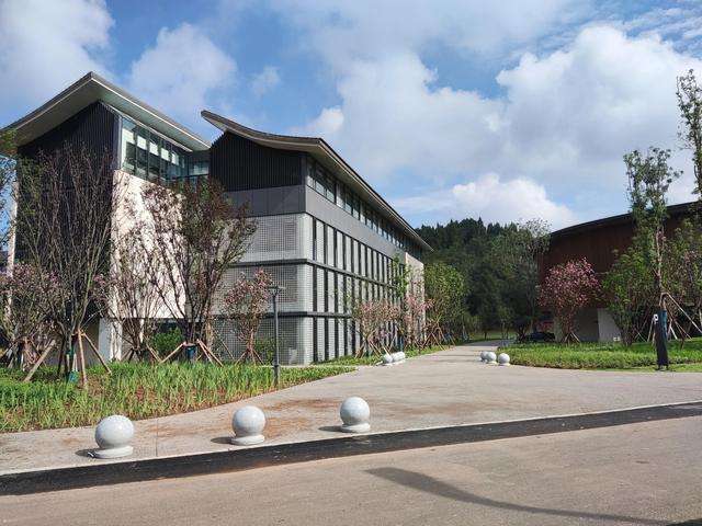 2024 Sichuan Conservatory of Music to recruit foreign students for Master's degree 2024年四川音乐学院招收外国留学生硕士研究生招生简章 WentChina - Your Ultimate Guide to Studying in China