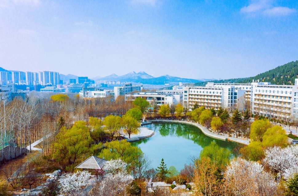 2026 Shandong University of Arts Admission Brochure for International Students (Undergraduate Programmes)