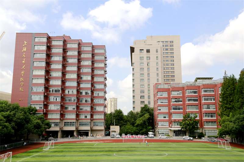 2024 Shanghai Jiao Tong University School of Medicine International Undergraduate Admissions Prospectus 2024年上海交通大学医学院国际学生本科招生简章