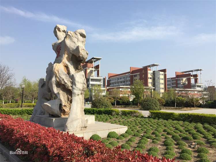 Henan University self-funded international student enrollment brochure 河南大学自费国际学生招生简章