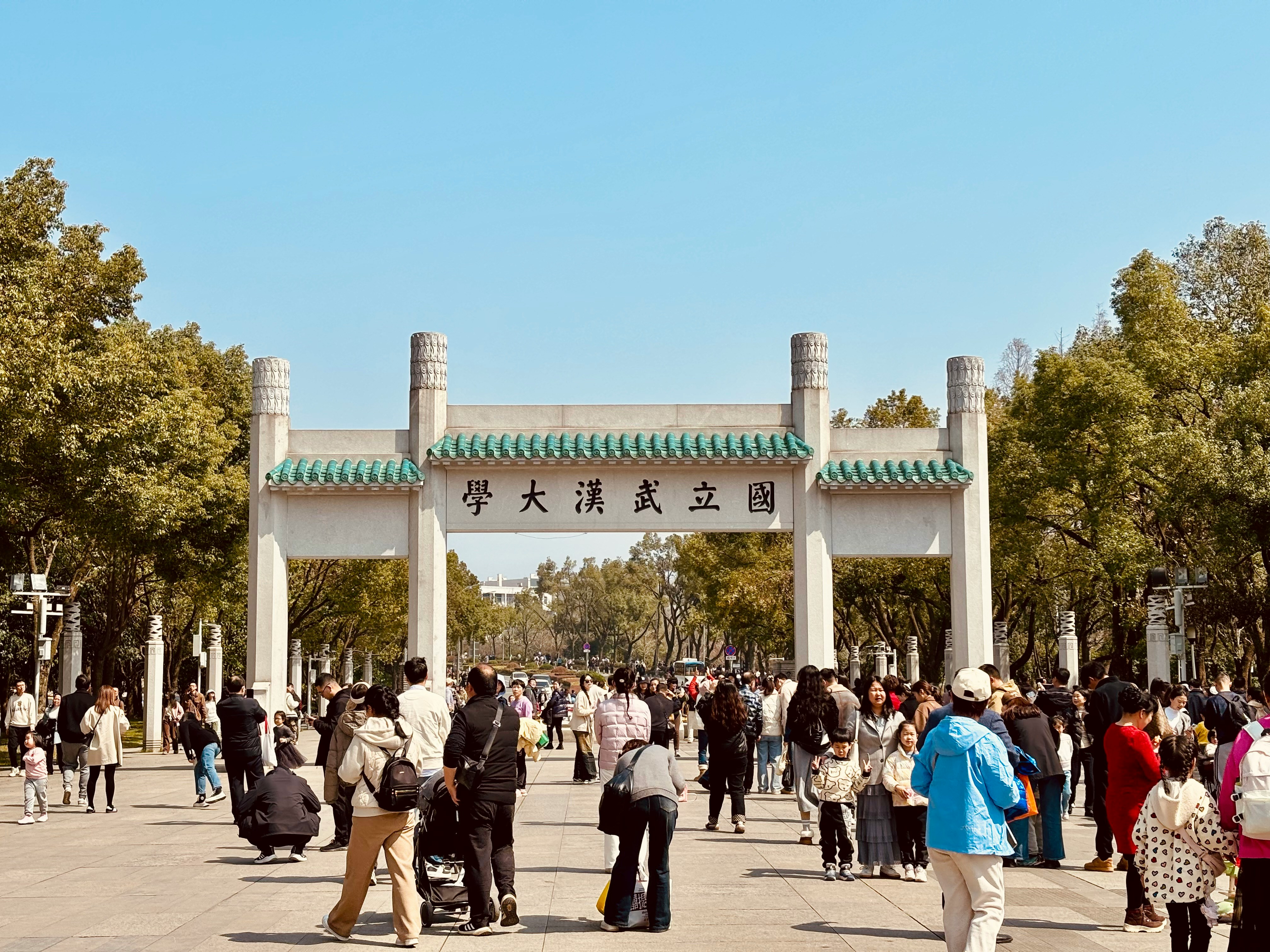 Application Guide for International Students in China 2026: Step-by-Step University Application Process, Documents, and Visa Guide